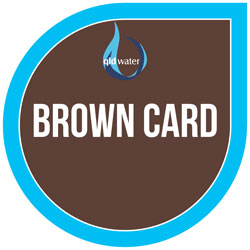 Brown Card icon